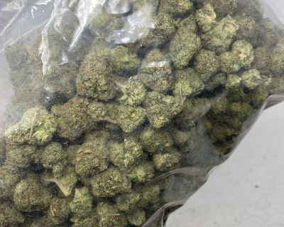 ROCK TUNA (GAS) - Image 6